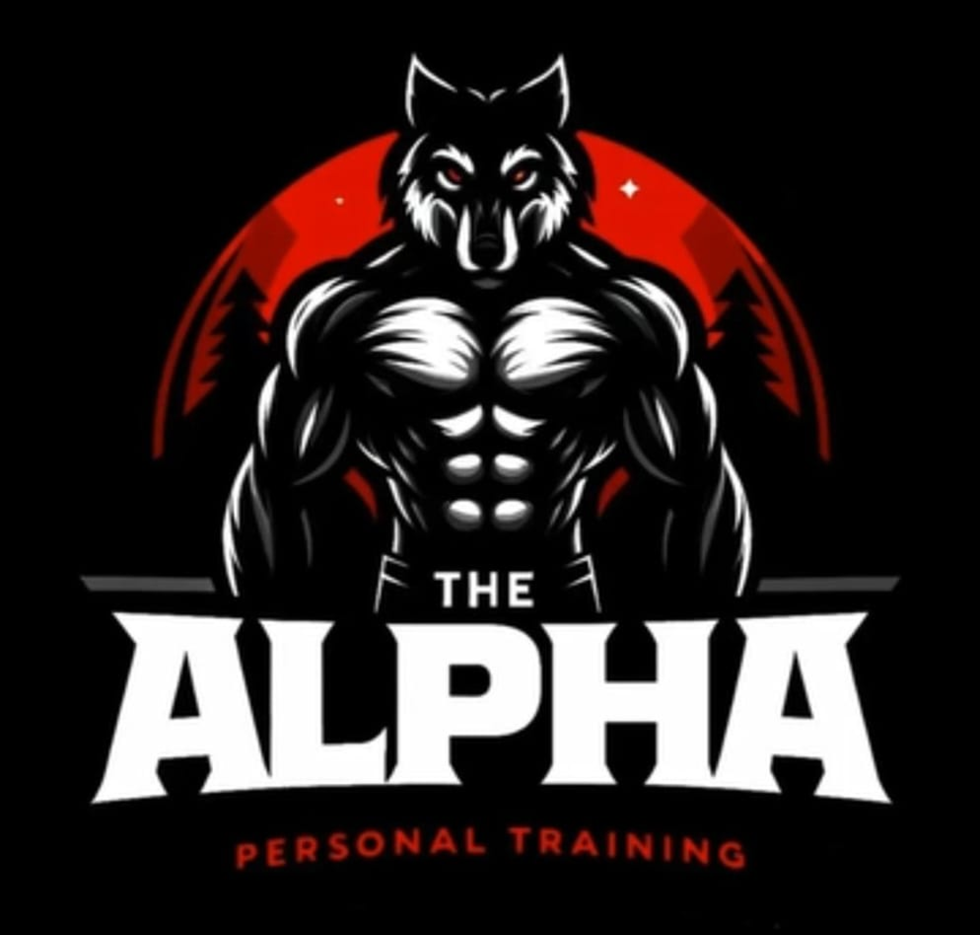 website logo